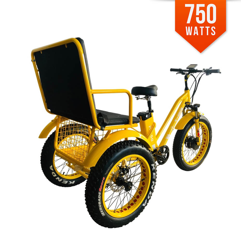 R 750x Electric Fat Tire Rickshaw Tricycle With 750w Bpm Imports