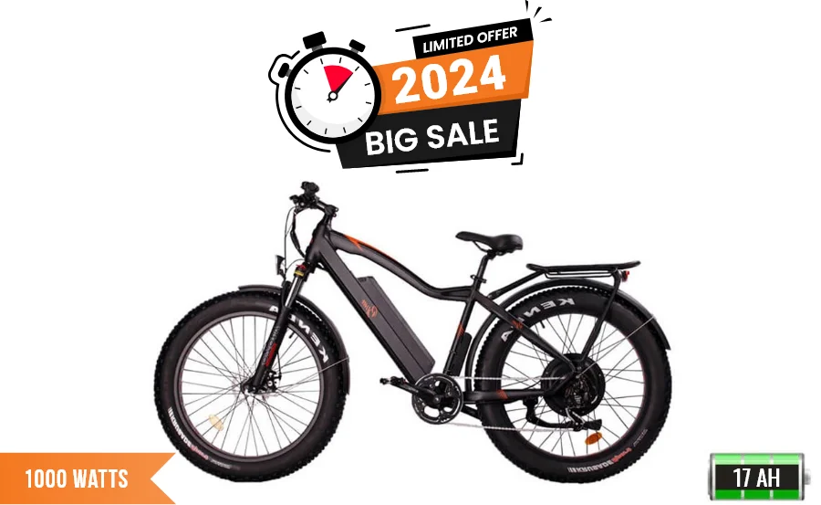 Tuning your e-bike - your drive will accelerate to 50 km/h!