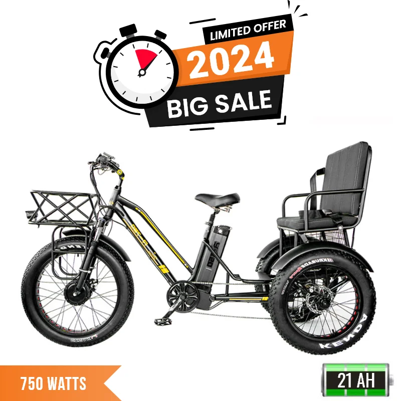 1000W 48V 21Ah Bench E-Bike Fat Tire Mountain Battery Bike For Adults