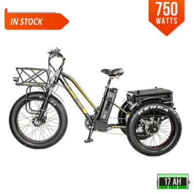 bpm f45 750w electric beach cruiser