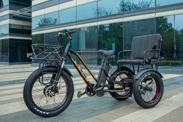 heavy duty electric bikes