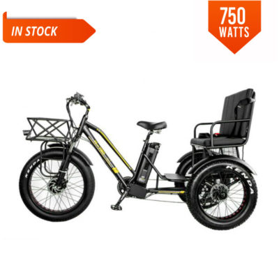 750 watt folding electric bike